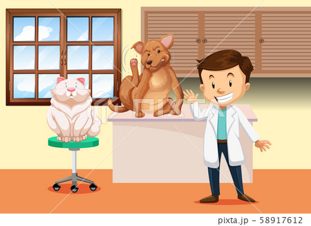 Veterinarian with sick animal 58917612