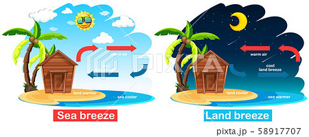 Diagram showing circulation of sea and land breeze 58917707