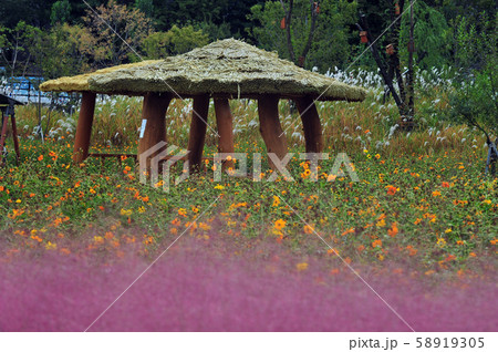 番小屋 自然 土地 58919305