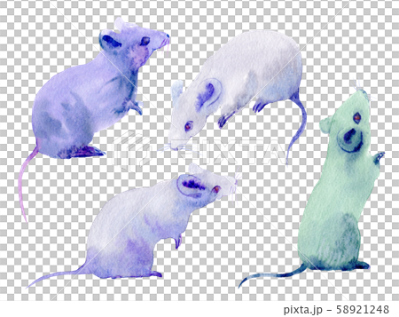 Mouse illustration watercolor hand drawn New Year's card material set Mouse illustration watercolor hand drawn New Year's card material set 58921248