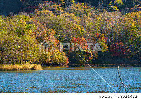 紅葉と湖 58921422