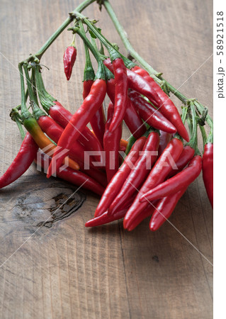 枝付き唐辛子 枝付き唐辛子 58921518