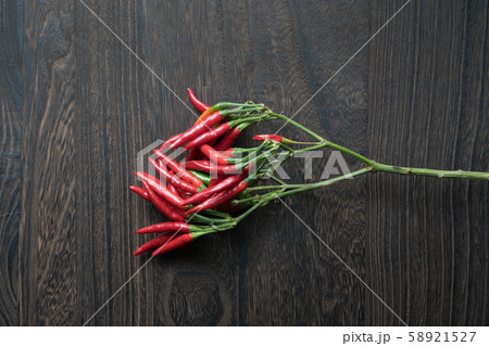 枝付き唐辛子 枝付き唐辛子 58921527