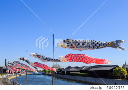 早朝の鯉のぼり　はんだ蔵のまち 58922575