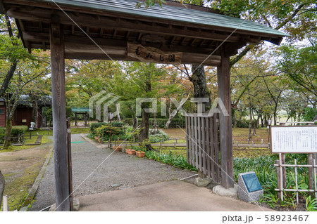 越路もみじ園 越路もみじ園 58923467