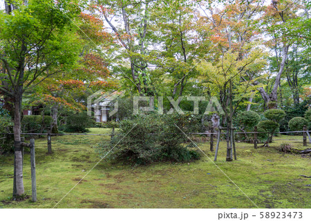 越路もみじ園 越路もみじ園 58923473