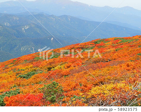 駒ヶ岳 駒ヶ岳 58923575