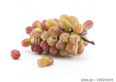 マイハート マイハート 58924034