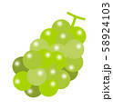 マスカット マスカット 58924103
