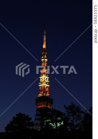 東京タワー 58925575