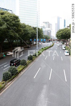 都心の街路樹 都心の街路樹 58925578