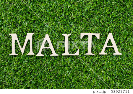 Wood alphabet letter in word Malta on green grass Wood alphabet letter in word Malta on green grass 58925711