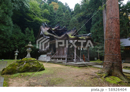 福井県/ 大瀧神社（岡太神社）複合社殿 本殿・拝殿  別名「日本一複雑な屋根を持つ神社」 58926404