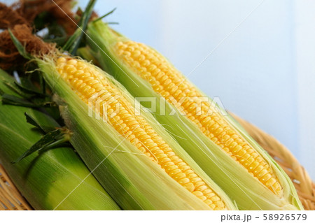 トウモロコシ 58926579