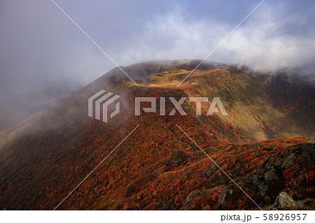 《大分県 九重連山》 大船山の稜線の紅葉 《大分県 九重連山》 大船山の稜線の紅葉 58926957