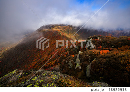 《大分県 九重連山》 大船山の稜線の紅葉 《大分県 九重連山》 大船山の稜線の紅葉 58926958