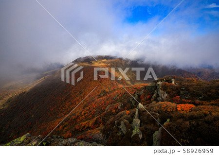 《大分県 九重連山》 大船山の稜線の紅葉 《大分県 九重連山》 大船山の稜線の紅葉 58926959