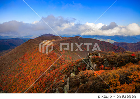 《大分県 九重連山》 大船山の稜線の紅葉 58926968
