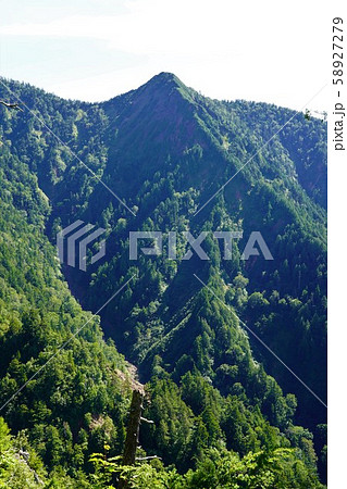 佐武流山登山道からの猿面峰 佐武流山登山道からの猿面峰 58927279
