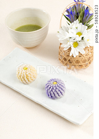 はさみ菊 58928523