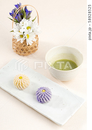 はさみ菊 58928525