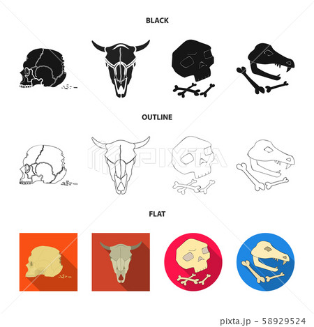 Vector design of skeleton and character symbol. Set of skeleton and halloween stock vector 58929524
