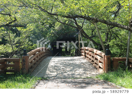 ■ 高遠城 ■ 問屋門と桜雲橋 ■ 高遠城址公園 ■ 武田勝頼、仁科盛信 ■ 長野県  58929779