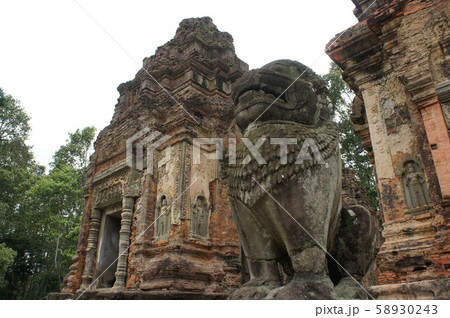 プリアコー プリアコー 58930243