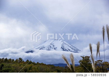 雨上がりの富士山 雨上がりの富士山 58930936