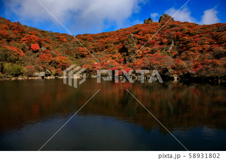 《大分県 九重連山》 大船山の御池の紅葉 《大分県 九重連山》 大船山の御池の紅葉 58931802