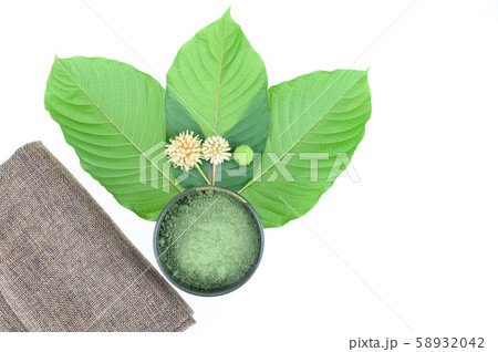 mitragynine on white background isolated. mitragynine on white background isolated. 58932042