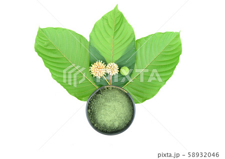 mitragynine on white background isolated. mitragynine on white background isolated. 58932046