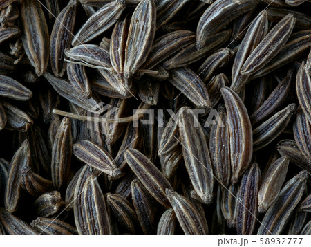 Close-up of Caraway Seeds, Carum carvi Close-up of Caraway Seeds, Carum carvi 58932777