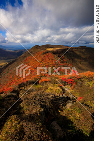 《大分県 九重連山》 大船山の稜線の紅葉 58933610