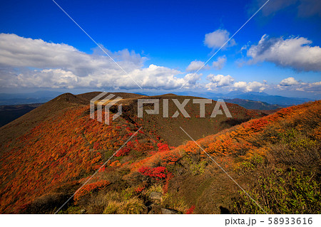 《大分県 九重連山》 大船山の稜線の紅葉 58933616