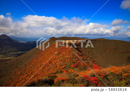 大分県 九重連山 大船山の稜線の紅葉の写真素材