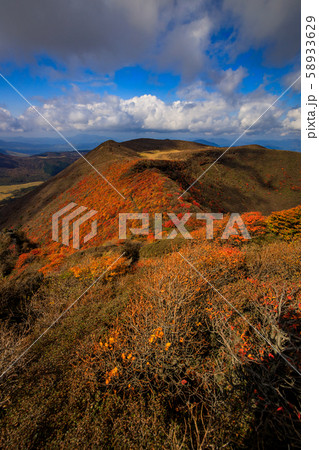 《大分県 九重連山》 大船山の稜線の紅葉 58933629