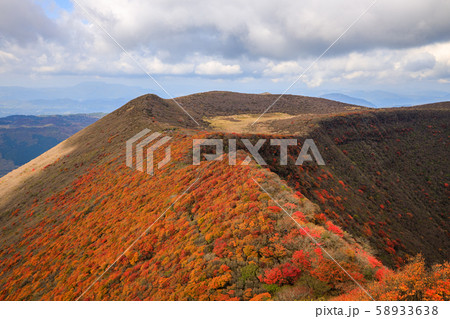《大分県 九重連山》 大船山の稜線の紅葉 《大分県 九重連山》 大船山の稜線の紅葉 58933638