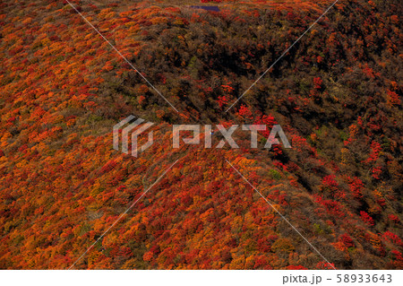大分県 九重連山 大船山の稜線の紅葉の写真素材