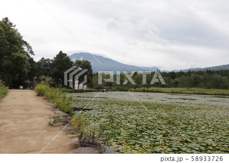 黒姫山（妙高市いもり池） 58933726