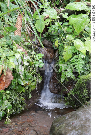 苗名滝（遊歩道の湧水） 58933760