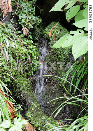苗名滝(遊歩道の湧水) 苗名滝(遊歩道の湧水) 58933763
