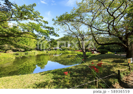 称名寺(秋) 称名寺(秋) 58936559