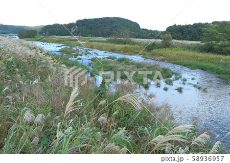 阿武隈川 上流 福島県西白河郡西郷村付近 阿武隈川 上流 福島県西白河郡西郷村付近 58936957