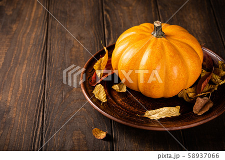Autumn pumpkin thanksgiving background Autumn pumpkin thanksgiving background 58937066