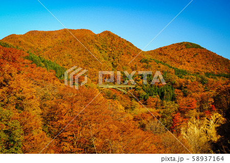 宮城 秋保大橋の紅葉 58937164