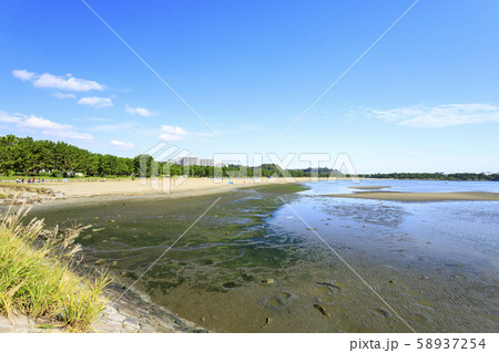 海の公園(秋) 海の公園(秋) 58937254