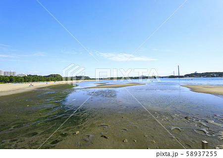 海の公園(秋) 海の公園(秋) 58937255