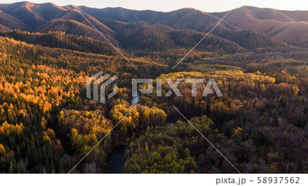 Top view of the taiga forest, river, road . The vast expanses of Eastern Siberia. far East Russia Top view of the taiga forest, river, road . The vast expanses of Eastern Siberia. far East Russia 58937562