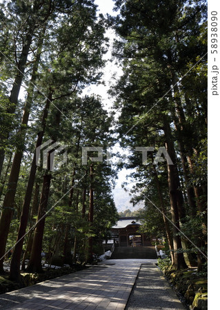 新潟 弥彦 彌彦神社 参道 新潟 弥彦 彌彦神社 参道 58938090